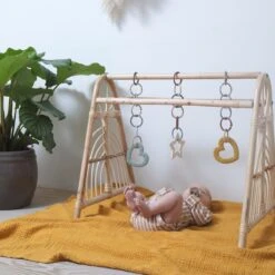 BIBS Beißring - Baby Bitie - Heart - Sage -Baby Artikel bibs beissring baby bitie heart sage 3100250 d10