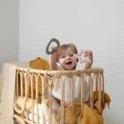 BIBS Beißring - Baby Bitie - Heart - Sage -Baby Artikel bibs beissring baby bitie heart sage 3100250 d8