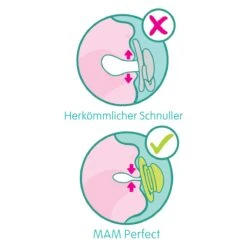 MAM Schnuller 2er Pack Perfect - Silikon - 0-6 M - Beige 4 MAM Schnuller 2er Pack Perfect - Silikon - 0-6 M - Beige -Baby Artikel mam schnuller 2er pack perfect silikon 0 6 m beige 83830920 d2